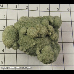 Mineral Specimen: Glauconite Sand Concretion from Green Co., Wisconsin Mineral Specimen: Glauconite Sand Concretion from Green Co., Wisconsin