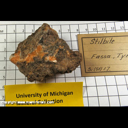 Mineral Specimen: Stilbite from Trento Province (Trentino), Trentino-Alto Adige, Italy