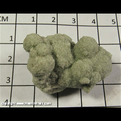Mineral Specimen: Glauconite Sand Concretion from Green Co., Wisconsin Mineral Specimen: Glauconite Sand Concretion from Green Co., Wisconsin