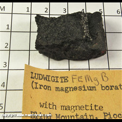 Mineral Specimen: Ludwigite, Magnetite from Blind Mountain Prospect, Pioche District, Lincoln Co., Nevada