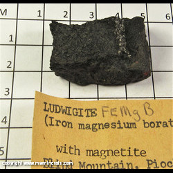 Mineral Specimen: Ludwigite, Magnetite from Blind Mountain Prospect, Pioche District, Lincoln Co., Nevada Mineral Specimen: Ludwigite, Magnetite from Blind Mountain Prospect, Pioche District, Lincoln Co., Nevada