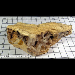 Mineral Specimen: Quartz from Advance Mine (Zaca Mine), Colorado Hill, Loope, Monitor - Mogul Dist., Alpine Co., California Mineral Specimen: Quartz from Advance Mine (Zaca Mine), Colorado Hill, Loope, Monitor - Mogul Dist., Alpine Co., California