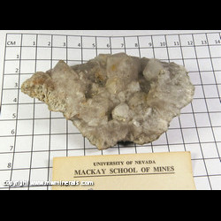 Mineral Specimen: Quartz from Chimney Rock Quarry (The Bound Brook Quarry), Bridgewater Twp., Somerset Co., New Jersey Mineral Specimen: Quartz from Chimney Rock Quarry (The Bound Brook Quarry), Bridgewater Twp., Somerset Co., New Jersey