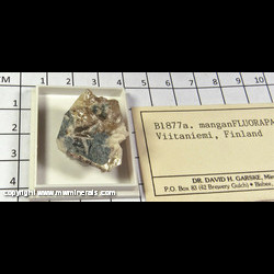 Mineral Specimen: Manganfluorapatite (Mn-bearing Fluorapatite), Albite from Viitaniemi pegmatite, Erajarvi area, Orivesi, Pirkanmaa, Finland Mineral Specimen: Manganfluorapatite (Mn-bearing Fluorapatite), Albite from Viitaniemi pegmatite, Erajarvi area, Orivesi, Pirkanmaa, Finland