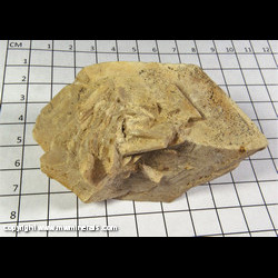 Mineral Specimen: Calcite Pseudomorph after Glauberite from Camp Verde, Yavapai Co,  Arizona