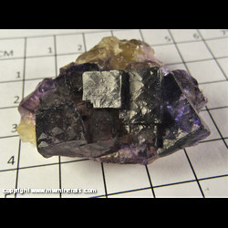 Mineral Specimen: Fluorite from Hardin Co, Illinois Mineral Specimen: Fluorite from Hardin Co, Illinois