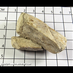 Mineral Specimen: Tincalconite Pseudomorph after Borax from Searles Lake, San Bernardino Co., California Mineral Specimen: Tincalconite Pseudomorph after Borax from Searles Lake, San Bernardino Co., California