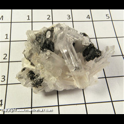 Mineral Specimen: Tetrahedrite, Quartz from Sweet Home Mine, Alma, Park Co,  Colorado