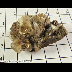 Mineral Specimen: Fluorite, Celestine, Calcite from Holloway Quarry, Berlin Twp., Monroe Co., Michigan Mineral Specimen: Fluorite, Celestine, Calcite from Holloway Quarry, Berlin Twp., Monroe Co., Michigan