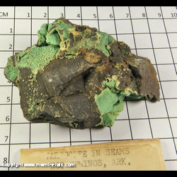 Mineral Specimen: Variscite from Hot Springs Co, Arkansas Mineral Specimen: Variscite from Hot Springs Co, Arkansas