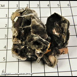 Mineral Specimen: Muscovite from Alexander Co., North Carolina