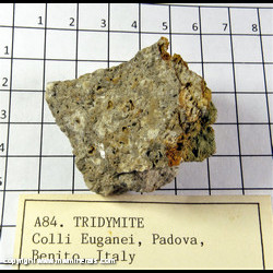 Mineral Specimen: Tridymite from Euganei, Padova, Benito, Italy