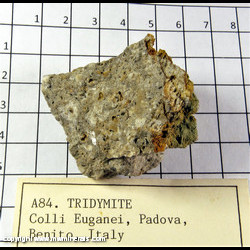 Mineral Specimen: Tridymite from Euganei, Padova, Benito, Italy Mineral Specimen: Tridymite from Euganei, Padova, Benito, Italy