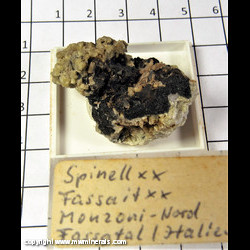 Mineral Specimen: Spinel, Augite variety: Fassaite (FRL) from Norhtern Monzoni Mts, Fassa Valley, Trento Province (Trentino), Trentino-Alto Adige, Italy Mineral Specimen: Spinel, Augite variety: Fassaite (FRL) from Norhtern Monzoni Mts, Fassa Valley, Trento Province (Trentino), Trentino-Alto Adige, Italy