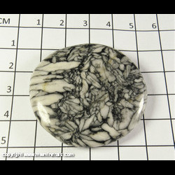 Mineral Specimen: Pinolite (Pine Seed Stone), Magnesite in Dolomite Incuded with Graphite from Magnesite deposit, Sunk, Hohentauern, Niedere Tauern, Styria, Austria Mineral Specimen: Pinolite (Pine Seed Stone), Magnesite in Dolomite Incuded with Graphite from Magnesite deposit, Sunk, Hohentauern, Niedere Tauern, Styria, Austria