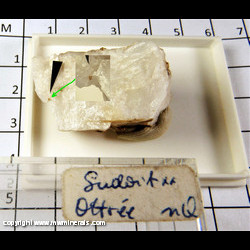 Mineral Specimen: Sudoite from Ottre, Vielsalm, Stravelot Massif, Luxembourg Prov., Belgium Mineral Specimen: Sudoite from Ottre, Vielsalm, Stravelot Massif, Luxembourg Prov., Belgium