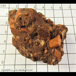 Mineral Specimen: Orthoclase from Crystal Pass, Ray Mine area, Mineral Creek Dist,  Dripping Spring Mts, Pinal Co,  Arizona