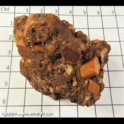 Mineral Specimen: Orthoclase from Crystal Pass, Ray Mine area, Mineral Creek Dist, Dripping Spring Mts, Pinal Co, Arizona Mineral Specimen: Orthoclase from Crystal Pass, Ray Mine area, Mineral Creek Dist, Dripping Spring Mts, Pinal Co, Arizona