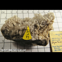 Mineral Specimen: Quartz with a Japan Law Twin Crystal from Center Pit, Gold Hill Mine, Tooele Co, Utah Mineral Specimen: Quartz with a Japan Law Twin Crystal from Center Pit, Gold Hill Mine, Tooele Co, Utah