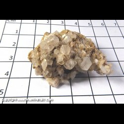 Mineral Specimen: Calcite, Twinned Crystals on Dolomite from Missouri Hwy. 34 roadcut, Patterson, Wayne Co,  Missouri