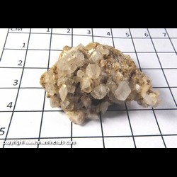 Mineral Specimen: Calcite, Twinned Crystals on Dolomite from Missouri Hwy. 34 roadcut, Patterson, Wayne Co, Missouri Mineral Specimen: Calcite, Twinned Crystals on Dolomite from Missouri Hwy. 34 roadcut, Patterson, Wayne Co, Missouri