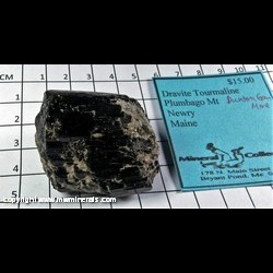 Mineral Specimen: Dravite Tourmaline, Muscovite from Dunton Gem Mine, Newry, Oxford Co., Maine Mineral Specimen: Dravite Tourmaline, Muscovite from Dunton Gem Mine, Newry, Oxford Co., Maine