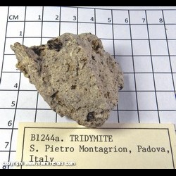 Mineral Specimen: Tridymite from S. Pietro Montagrion, Padova, Vento, Italy Mineral Specimen: Tridymite from S. Pietro Montagrion, Padova, Vento, Italy