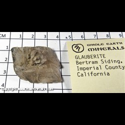 Mineral Specimen: Glauborite from Bertram Mine, Bertram Siding, Bertram, Imperial Co., California Mineral Specimen: Glauborite from Bertram Mine, Bertram Siding, Bertram, Imperial Co., California