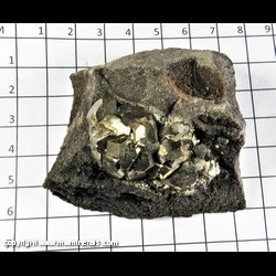 Mineral Specimen: Pyrite from Rennsselaer, Pleasnt Ridge,  Jasper Co., Indiana