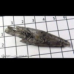 Mineral Specimen: Selenite, Black Fishtail Twinned from Oskaloosa coal mines, Mahaska Co,  Iowa