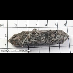 Mineral Specimen: Brookite Crystals on Double Terminated Smoky Quartz from Ruttherford Deposit, Magnet Cove, Hot springs Co., Arkansas Mineral Specimen: Brookite Crystals on Double Terminated Smoky Quartz from Ruttherford Deposit, Magnet Cove, Hot springs Co., Arkansas