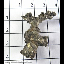 Mineral Specimen: Pyrite Pseudomorph Casts after Calcite from Sweetwater Mine, Reynolds Co,  Missouri