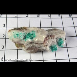 Mineral Specimen: Dioptase Crystals on Calcite from Christmas Mine, Gila Co,  Arizona