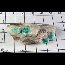 Mineral Specimen: Dioptase Crystals on Calcite from Christmas Mine, Gila Co, Arizona Mineral Specimen: Dioptase Crystals on Calcite from Christmas Mine, Gila Co, Arizona