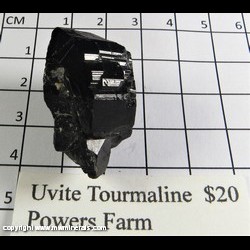 Mineral Specimen: Uvite Tourmaline from Powers Farm, Pierrepont, St. Lawrence Co., New York Mineral Specimen: Uvite Tourmaline from Powers Farm, Pierrepont, St. Lawrence Co., New York
