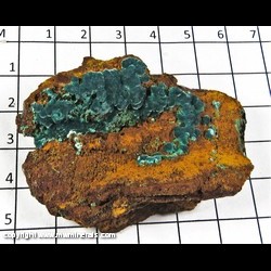 Mineral Specimen: Rosasite from Mapimi, Durango, Mexico Mineral Specimen: Rosasite from Mapimi, Durango, Mexico