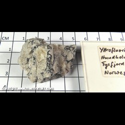 Mineral Specimen: Yttrofluorite - Yttrium bearing variety of Fluorite from Hundholmen, Tysfjord, Nordland, Norway Mineral Specimen: Yttrofluorite - Yttrium bearing variety of Fluorite from Hundholmen, Tysfjord, Nordland, Norway