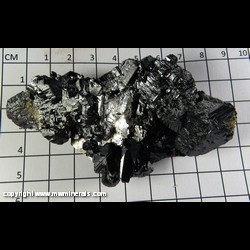 Mineral Specimen: Sphalerite from Cessford Quarry, Biggsville, Henderson Co., Illinois Mineral Specimen: Sphalerite from Cessford Quarry, Biggsville, Henderson Co., Illinois