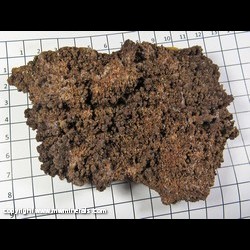Mineral Specimen: Vanadinite variety: Endlichite (Arsenian), Descloizite from Sierra Los Lamentos, Chihuahua, Mexico