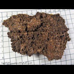 Mineral Specimen: Vanadinite variety: Endlichite (Arsenian), Descloizite from Sierra Los Lamentos, Chihuahua, Mexico Mineral Specimen: Vanadinite variety: Endlichite (Arsenian), Descloizite from Sierra Los Lamentos, Chihuahua, Mexico