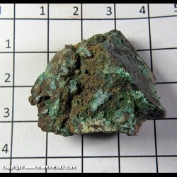 Mineral Specimen: Paratacamite, Anglesite, minor Linarite (on overside) from Old Soldier Mine, Churchhill mining dist., Lyon Co., Nevada Mineral Specimen: Paratacamite, Anglesite, minor Linarite (on overside) from Old Soldier Mine, Churchhill mining dist., Lyon Co., Nevada