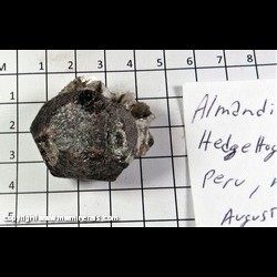Mineral Specimen: Almandine Garnet, Muscovite from Hedgehog Hill Quarry, Peru, Oxford Co., Peru, Maine