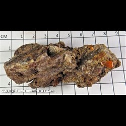 Mineral Specimen: Wulfenite (most crystals broken, a few intact) from Mina Chapacase, Tocopilla, Antofagasta, Chile