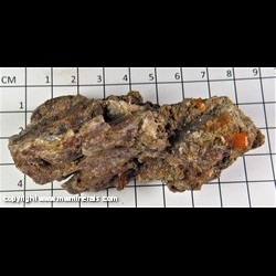 Mineral Specimen: Wulfenite (most crystals broken, a few intact) from Mina Chapacase, Tocopilla, Antofagasta, Chile Mineral Specimen: Wulfenite (most crystals broken, a few intact) from Mina Chapacase, Tocopilla, Antofagasta, Chile