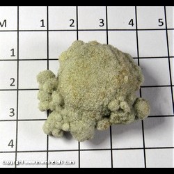 Mineral Specimen: Glauconite Sand Concretion from Green Co., Wisconsin
