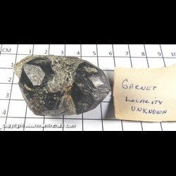Mineral Specimen: Garnet in Schist from location unknown