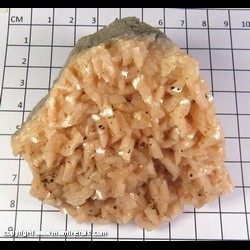 Mineral Specimen: Dolomite, Chalcopyrite from Black Rock, Lawrence Co., Arkansas Mineral Specimen: Dolomite, Chalcopyrite from Black Rock, Lawrence Co., Arkansas
