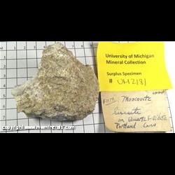 Mineral Specimen: Muscovite variety: Sericite, Quartz, Albite from Portland, Middlesex Co., Connecticut Mineral Specimen: Muscovite variety: Sericite, Quartz, Albite from Portland, Middlesex Co., Connecticut