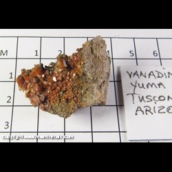 Mineral Specimen: Vanadinite from Old Yuma Mine, Tuscons Mts., Pima Co., Arizona Mineral Specimen: Vanadinite from Old Yuma Mine, Tuscons Mts., Pima Co., Arizona
