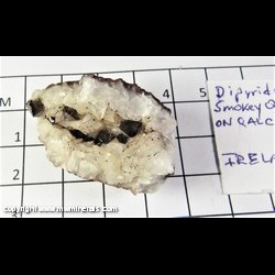 Mineral Specimen: Quartz, Dipyramidal Smoky on Calcite from Ireland
